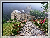Mgła, Cerkiew, Aleja, Róże, Drzewa