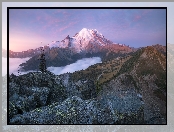 Park Narodowy Mount Rainier, Stan Waszyngton, Drzewa, Góra, Mgła, Stany Zjednoczone, Las, Mount Rainier