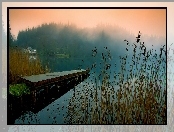 Mgle, Jezioro, Pomost, Las, We