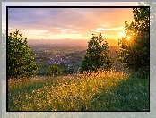 Zachód słońca, Badenia-Wirtembergia, Kaiserstuhl, Niemcy, Wzgórza, Drzewa, Trawa, Miasteczko
