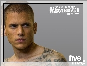 Wentworth Miller, tatuaż