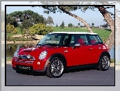 Mini Cooper, Biały, Dach
