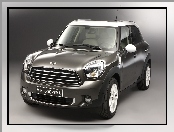 MINI Countryman, Cooper D