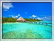 Molo, Malediwy, Morze, Las