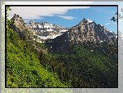 Stany Zjednoczone, Góry Skaliste, Lasy, Park Narodowy Glacier, Montana