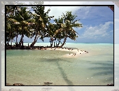 Morze, Kiribati, Laguna, Palmy