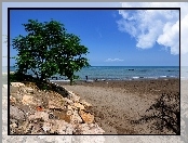 Morze, Plaże