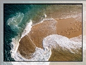 Morze, Francja, Ptaki, Plaża