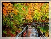 Most, Jesień, Park, Rzeka