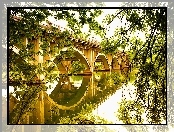 Most, Drzewa, Rzeka, Gałęzie