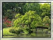 Mostek, Park, Staw, Rośliny, Drzewa