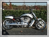 Srebrny, Harley Davidson V-Rod Muscle, Motocykl