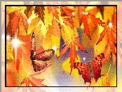 Motyle, Czerwono, Żółte, Liście, Jesień