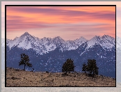 Westcliffe, Drzewa, Stany Zjednoczone, Łąka, Sangre de Cristo Mountains, Góry, Zachód słońca, Trawa, Kolorado