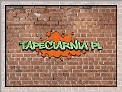 Graffiti, Mur, Tapeciarnia