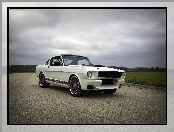 Ford Mustang Blizzard