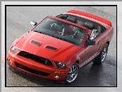 Ford Mustang, Cabrio