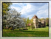 Drzewa, Muzeum, Fonthill Castle, Stan Pensylwania, Stany Zjednoczone