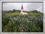 Miejscowość Vik i Myrdal, Łubin, Kościół, Islandia, Góry, Gmina Myrdalshreppur