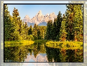 Drzewa, Rzeka, Stany Zjednoczone, Odbicie, Park Narodowy Grand Teton, Góry, Wyoming