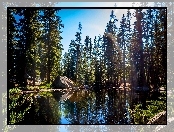 Park Narodowy Yosemite, Jezioro, Las, USA, Kamienie, Kalifornia