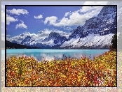 Kanada, Góry, Park Narodowy Banff, Jezioro Bow Lake
