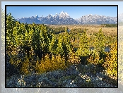Teton Range, Stan Wyoming, Drzewa, Park Narodowy Grand Teton, Rzeka Snake River, Stany Zjednoczone, Las, Góry
