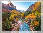 Stany Zjednoczone, Kamienie, Park Narodowy Zion, Drzewa, Stan Utah, Góry Watchman, Rzeka, Virgin River