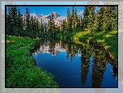 Stany Zjednoczone, Góry, Park Narodowy Mount Rainier, Odbicie, Stan Waszyngton, Jezioro Las, Drzewa, Rzeka