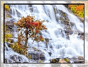 Skały, Chiang Mai, Mae Ya Waterfall, Jesień, Park Narodowy Doi Inthanon, Tajlandia, Wodospad, Drzewo