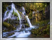 Wodospad, Panther Creek Falls, Stany Zjednoczone, Gifford Pinchot National Forest, Las, Drzewa, Stan Waszyngton