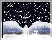 Neon Genesis Evangelion, anioł, wings