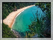 Plaża, Whangapoua, Wybrzeże, Nowa Zelandia, New Chums Beach, Zatoka, Wainuiototo Bay, Rośliny