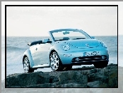 New Beetle, Srebrne Cabrio