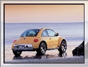 Volkswagen New Beetle