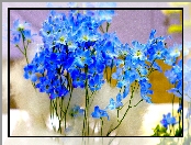 Niebieskie, Ostróżka, Drobne, Kwiatki