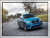 Niebieskie, 2015, BMW X6 M, F86