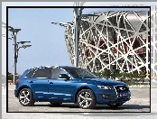 Niebieskie, Audi Q5, SUV