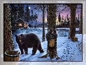 Niedźwiedzie, Śnieg, Zima, Drzewa, Chatka, Ptaszek