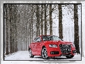 Śnieg, Czerwone, Audi S5, Las, Droga