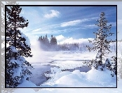 Śnieg, Drzewa