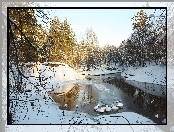 Rzeka, Śnieg, Drzewa