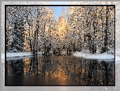 Rzeka, Śnieg, Drzewa
