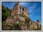 Oberzent, Ruiny, Trawa, Niemcy, Krzewy, Burg Freienstein