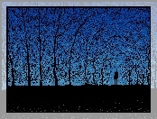 Noc, Grafika, Drzewa, Człowiek