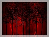 Noc, Księżyc, Drzewa, Czerwony