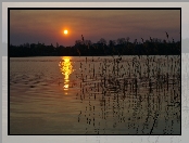 Jezioro, Noc, Księżyc