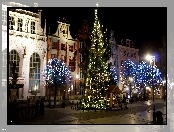 Choinka, Gdańsk, Polska, Drzewa, Noc, Świąteczne