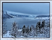Norwegia, Zima Jezioro, Góry, Drzewa, Jolstravatnet