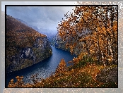 Norwegia, Góry, Fiord Geirangerfjorden, Jesień, Drzewa